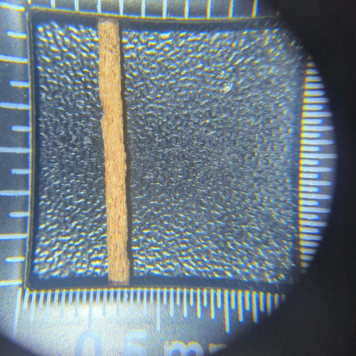img-20250801-095712-672-copy.jpg {A closeup of the stick under a loupe showing the long wood fibers.}